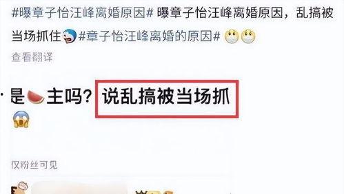 刘大锤最新爆料猛料,娱乐圈惊天猛料大曝光！