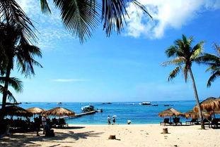 海南海边最新消息爆料,神秘海岛发现珍稀生物，旅游胜地再掀热潮